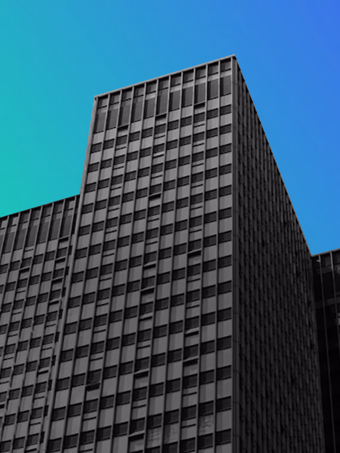 Zoral Industry Segments